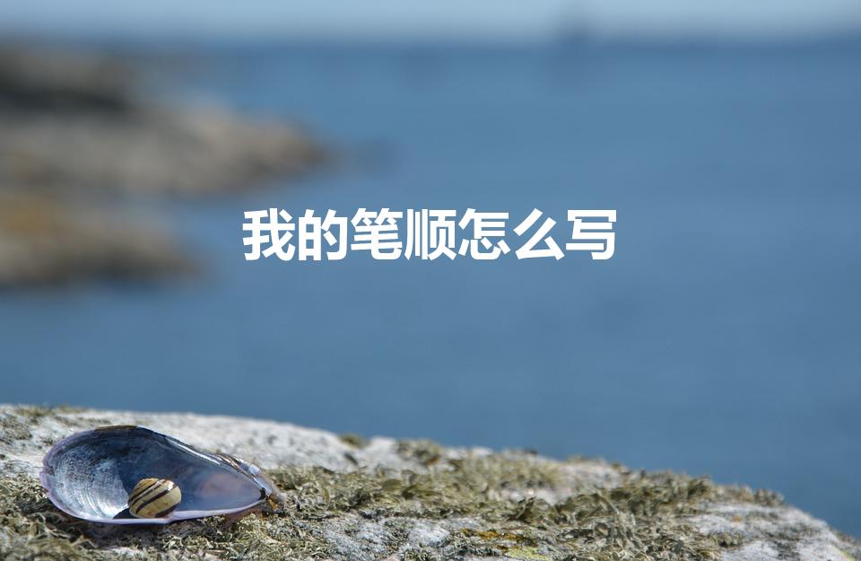我的笔顺怎么写（“我”字的笔顺在田字格怎么写）