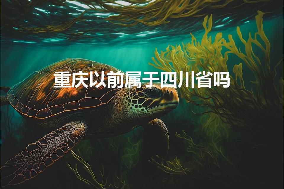 重庆以前属于四川省吗（重庆以前是不是属于四川）