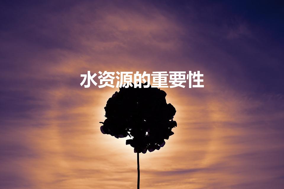 水资源的重要性（水资源对人类的重要性）