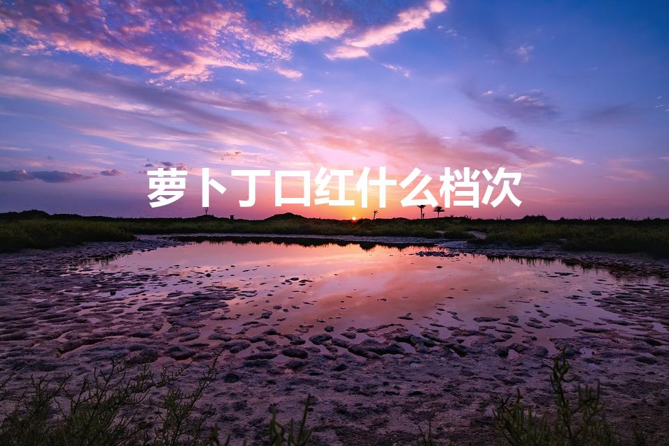 萝卜丁口红什么档次（萝卜丁口红为什么那么贵）