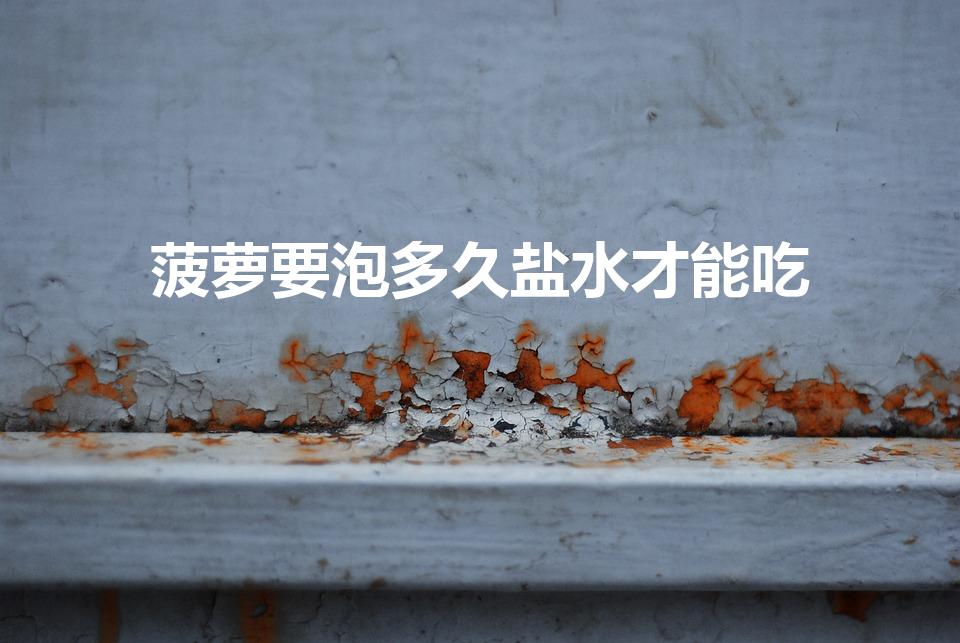 菠萝要泡多久盐水才能吃（菠萝要泡几分钟盐水）