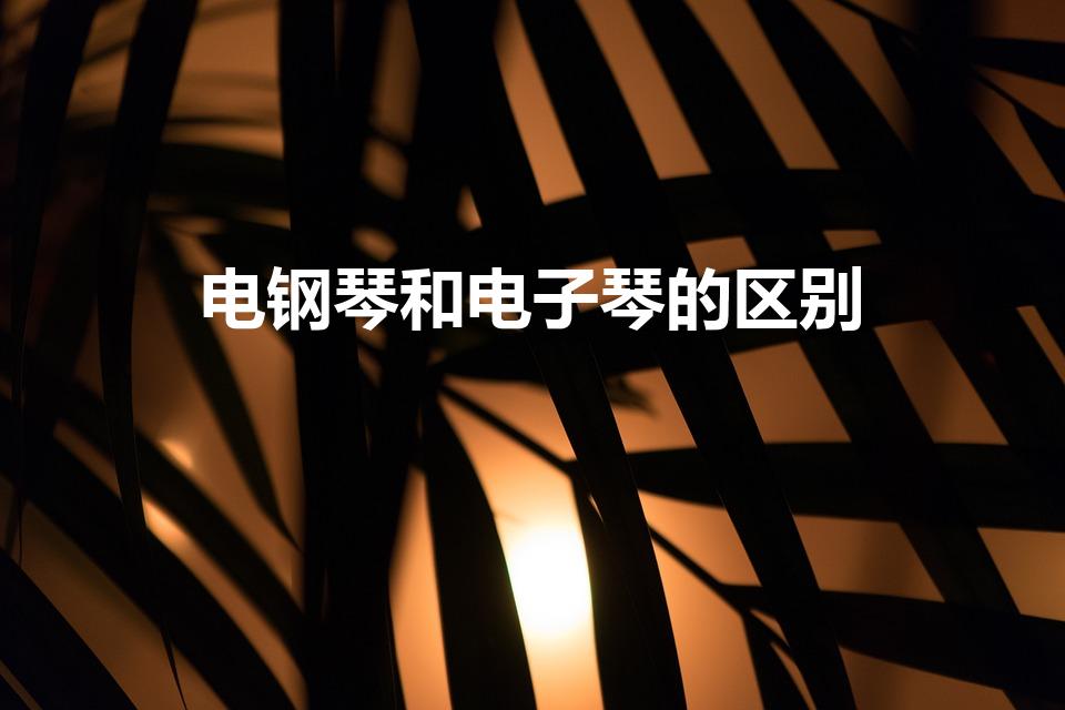 电钢琴和电子琴的区别（电子琴与电钢琴的区别）