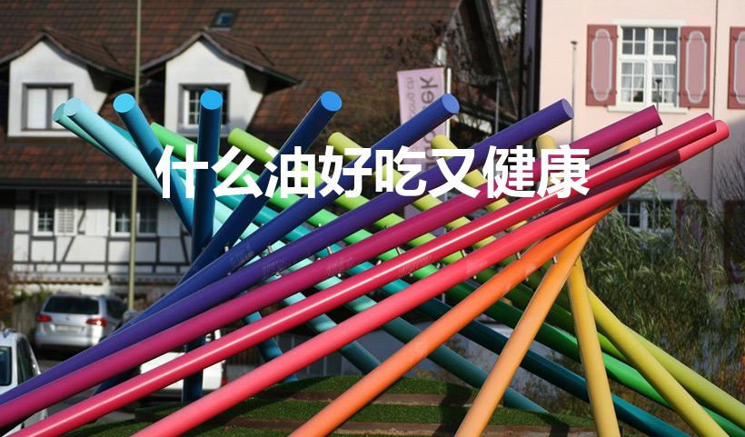 什么油好吃又健康（哪种油最健康又好吃）
