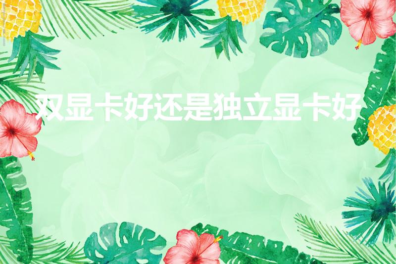 双显卡好还是独立显卡好（独立显卡与双显卡有什么区别吗）