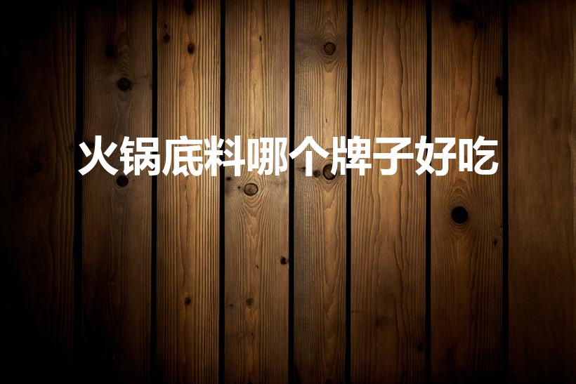 火锅底料哪个牌子好吃（什么火锅底料好吃）