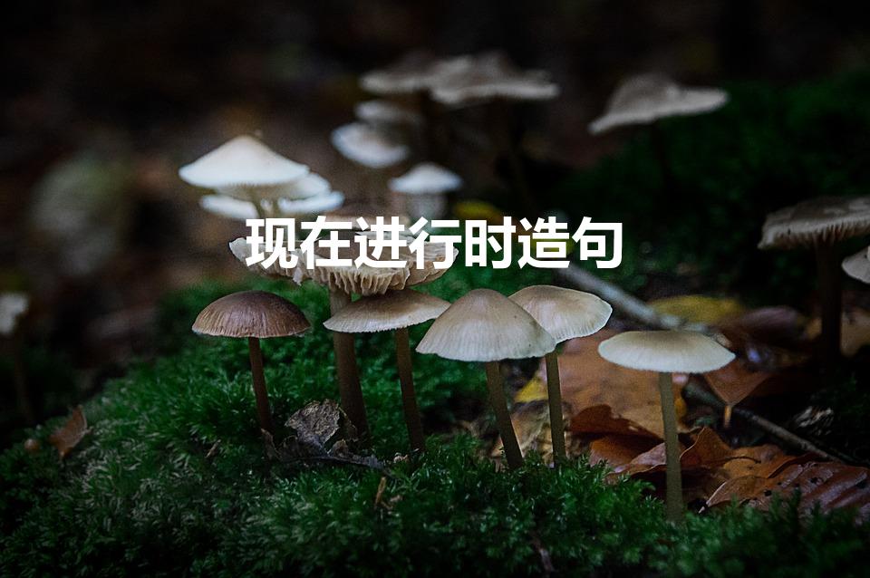 现在进行时造句（用英语现在进行时造句的句子有哪些）