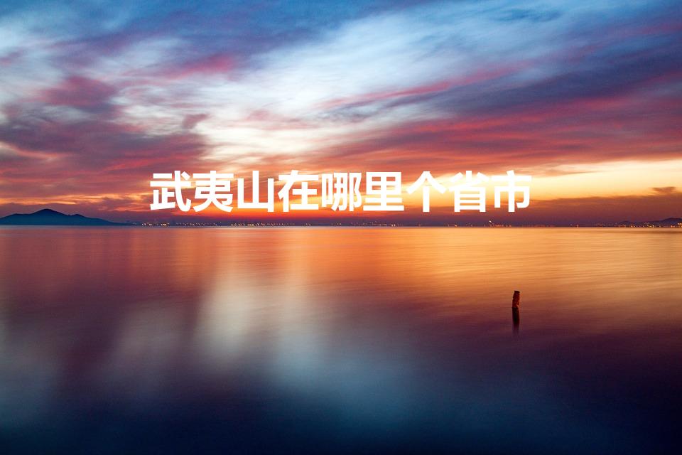 武夷山在哪里个省市（武夷山在哪个省份）