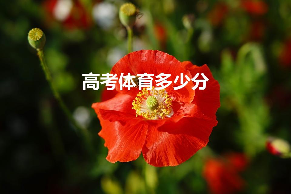 高考体育多少分（高考考体育吗,要考多少分）