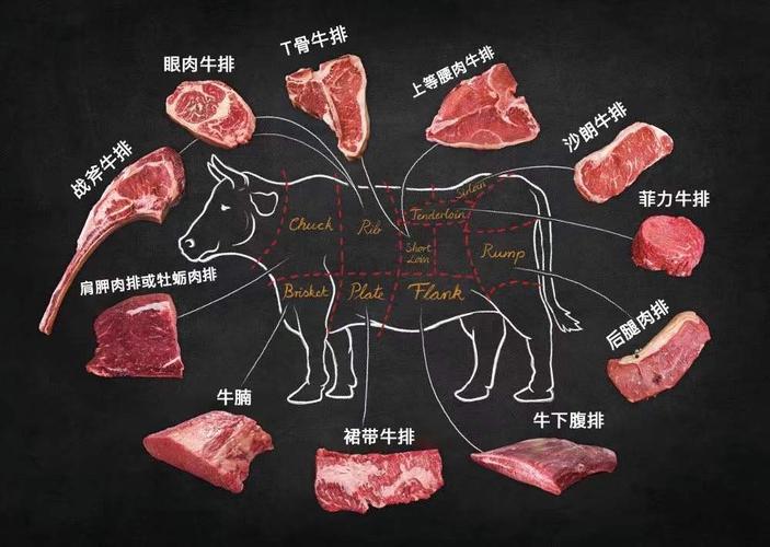 牛排是牛身上哪个部位的肉？牛排不同位置肉质大揭秘