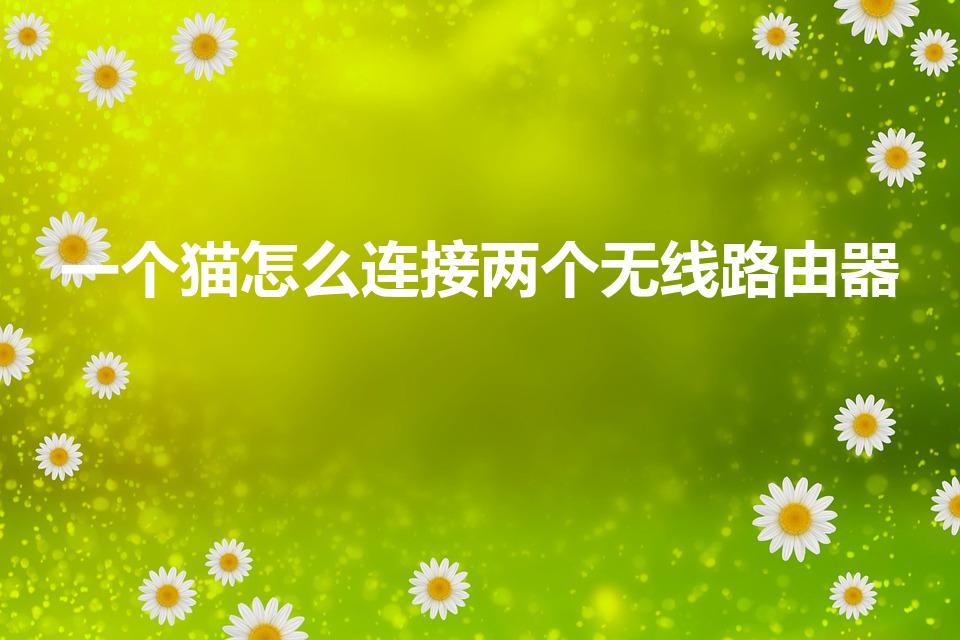 一个猫怎么连接两个无线路由器