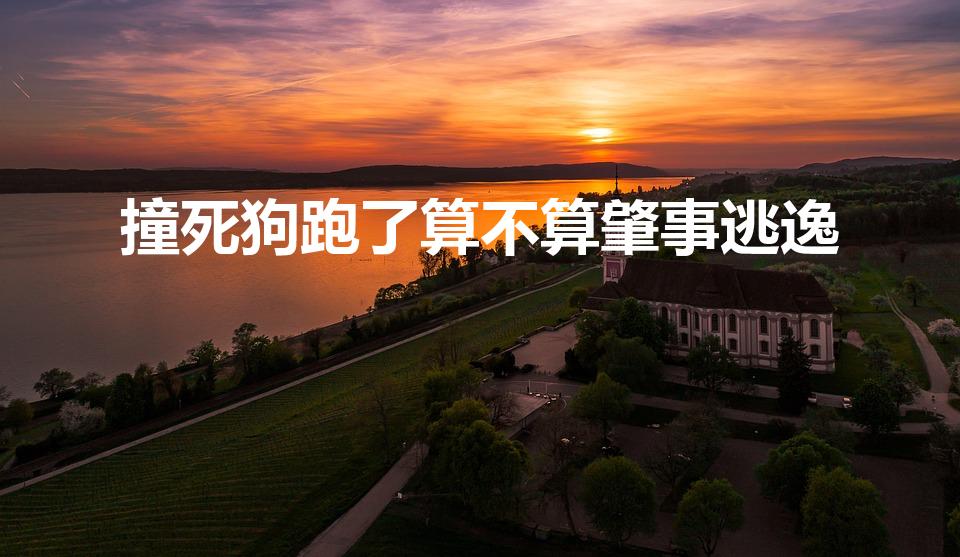 撞死狗跑了算不算肇事逃逸（撞狗后直接走了算不算肇事逃逸）