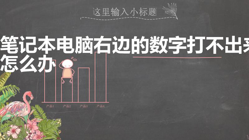笔记本电脑右边的数字打不出来怎么办