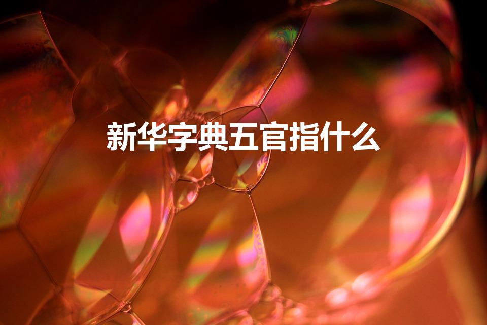 新华字典五官指什么(五官指的都是什么)