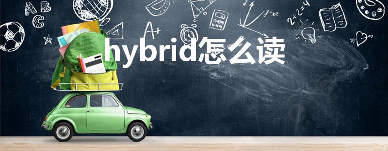 hybrid怎么读（hybrid 怎么读）
