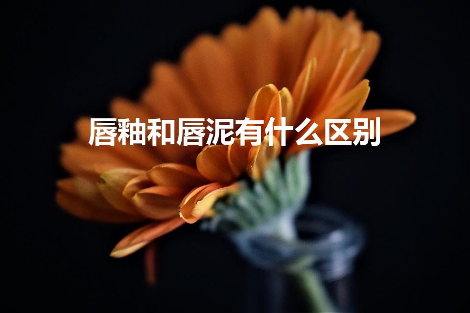 唇釉和唇泥有什么区别（唇泥和唇釉啥区别）