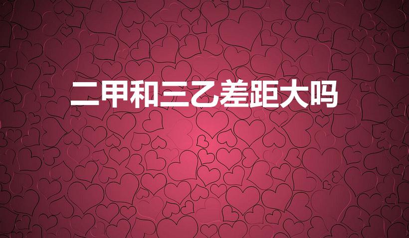 二甲和三乙差距大吗（二甲医院好还是三乙医院好）