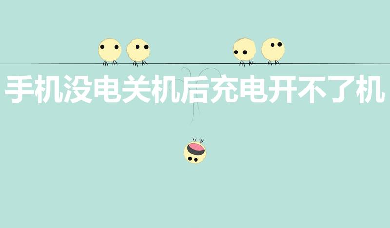 手机没电关机后充电开不了机