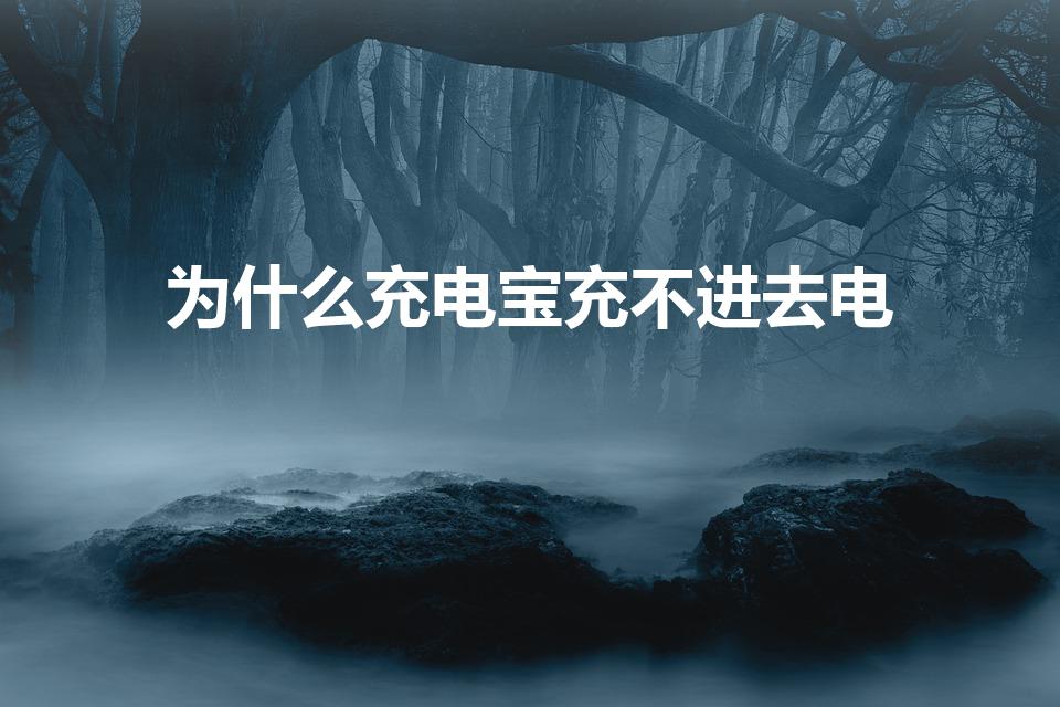 为什么充电宝充不进去电（充电宝充不进去电是什么原因）