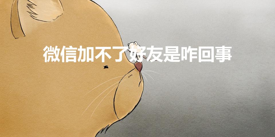 微信加不了好友是咋回事（微信为什么添加不了对方好友）