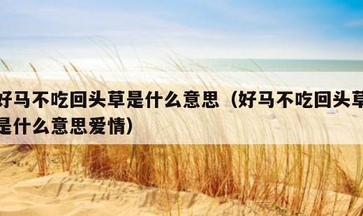 好马不吃回头草是什么意思？好马不吃回头草是什么意思爱情