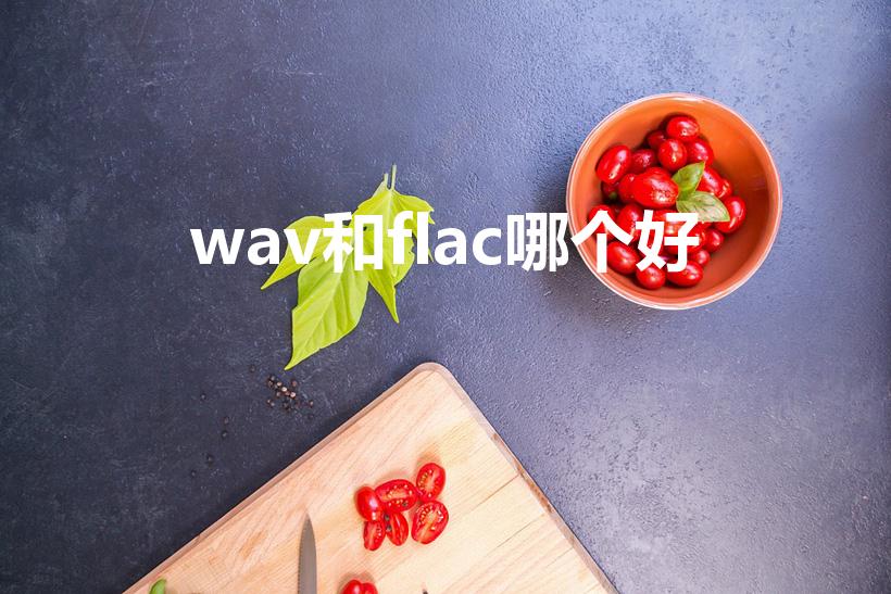 wav和flac哪个好（flac和WAV哪种的音质更好）