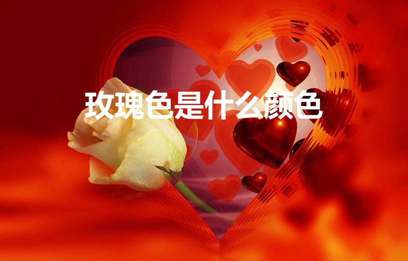 玫瑰色是什么颜色（玫瑰红是什么颜色）