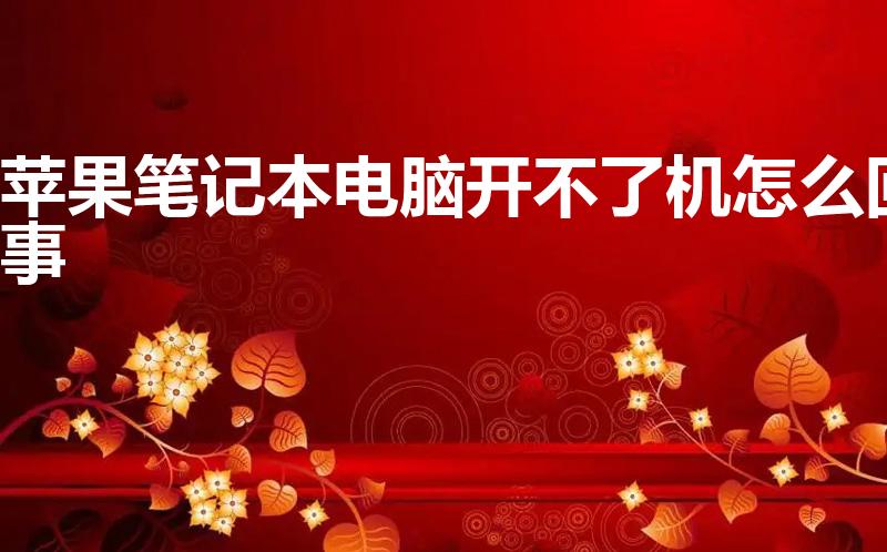 苹果笔记本电脑开不了机怎么回事