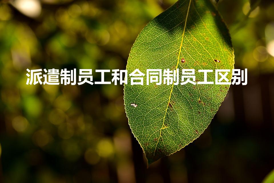 派遣制员工和合同制员工区别（派遣工和合同制员工的区别）