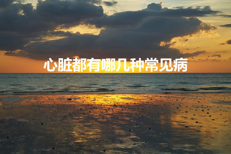 心脏都有哪几种常见病（一般心脏病可以分为哪几种）