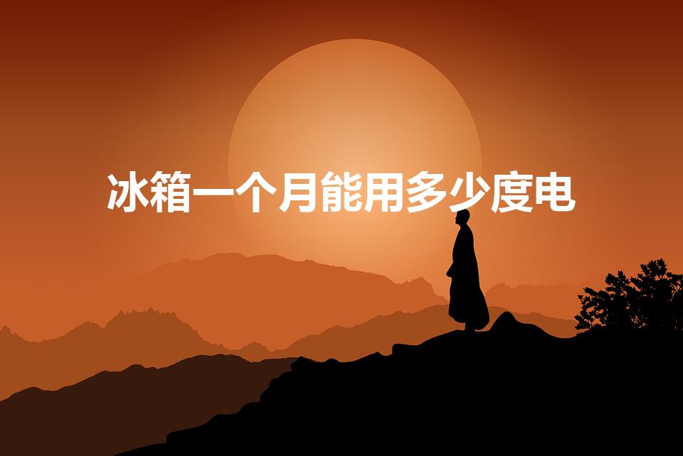 冰箱一个月能用多少度电（冰箱平均一个月用多少度电）