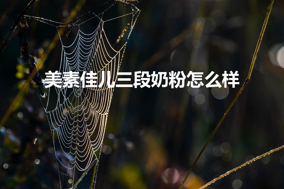 美素佳儿三段奶粉怎么样（美素佳儿奶粉怎么样）