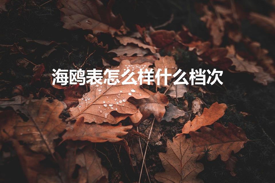 海鸥表怎么样什么档次（海鸥手表是什么档次）