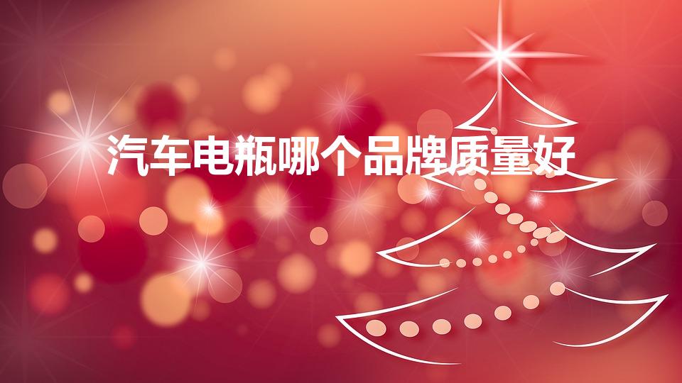 汽车电瓶哪个品牌质量好（轿车电瓶什么牌子质量好）