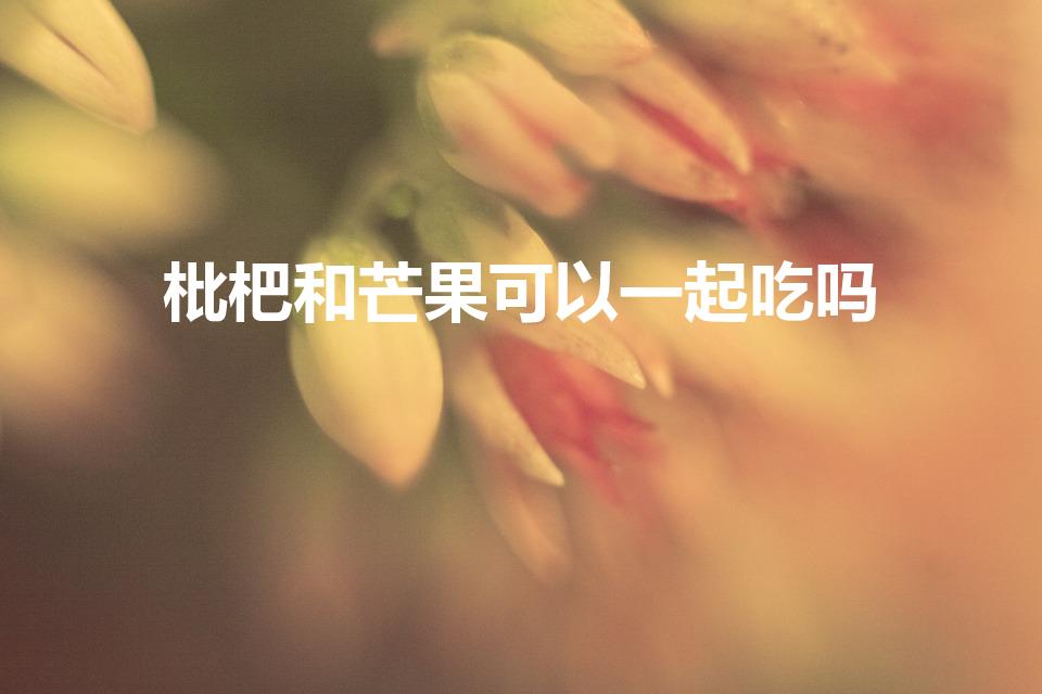 枇杷和芒果可以一起吃吗（芒果猕猴桃枇杷能一起吃吗）