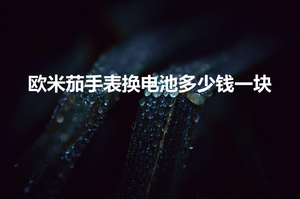 欧米茄手表换电池多少钱一块