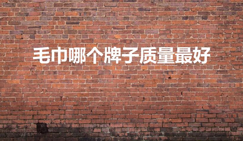 毛巾哪个牌子质量最好（哪个品牌的毛巾质量最好）