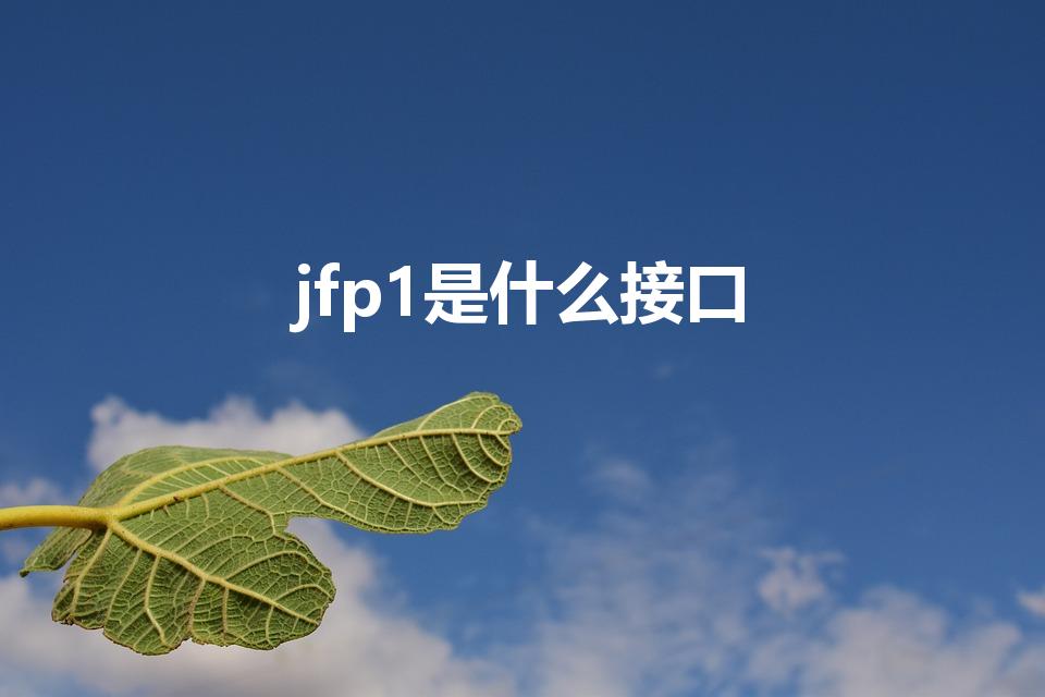 jfp1是什么接口（jfp1和jfp2是什么意思）