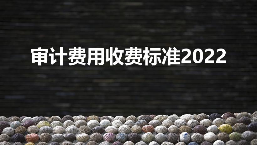 审计费用收费标准2022（工程决算审计收费标准2022）