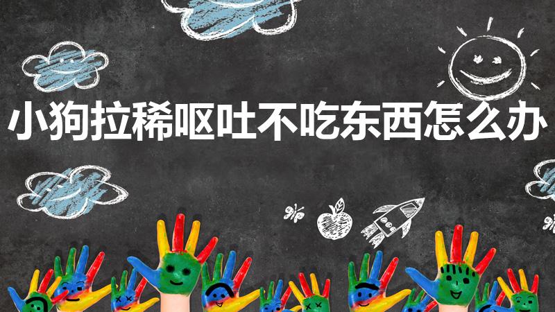 小狗拉稀呕吐不吃东西怎么办（狗狗呕吐拉稀不吃东西怎么办）