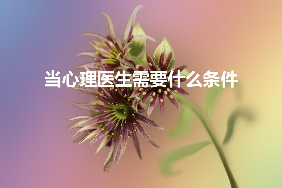 当心理医生需要什么条件（怎样才能当一名心理医生）