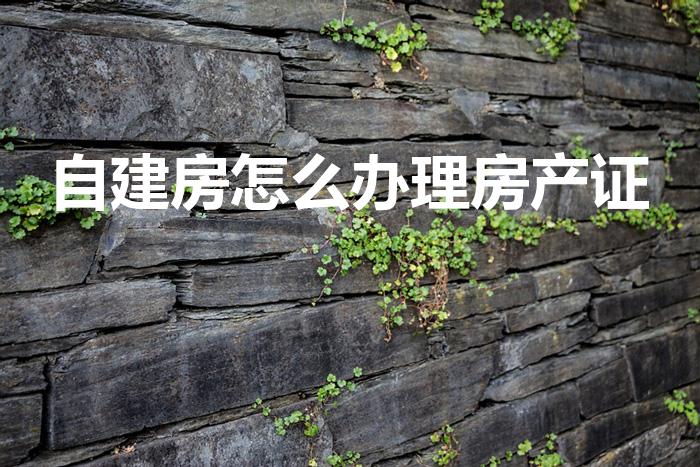 自建房怎么办理房产证（自建房房产证怎么办理）