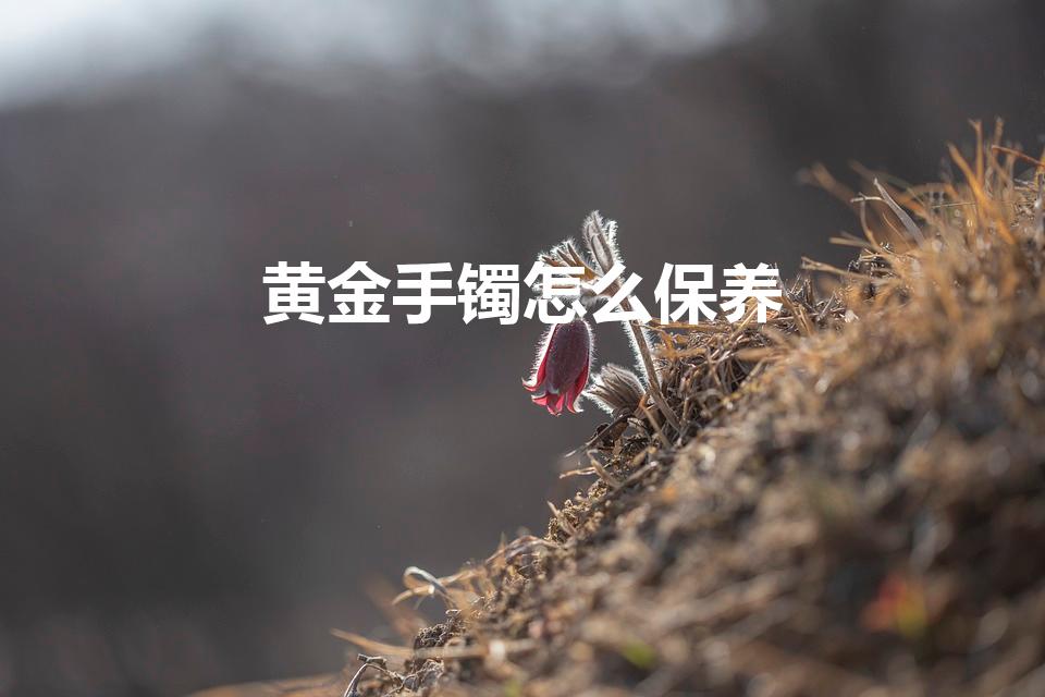 黄金手镯怎么保养（黄金手镯怎样清洗才能更干净,更光亮）