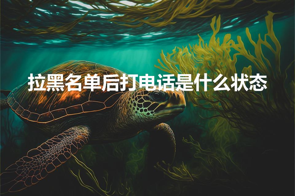 拉黑名单后打电话是什么状态（拉黑了打电话过去什么反应）