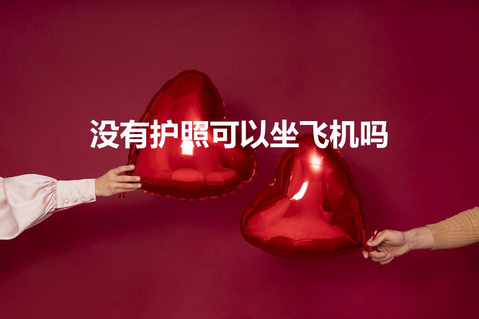 没有护照可以坐飞机吗（国内坐飞机需要护照吗）