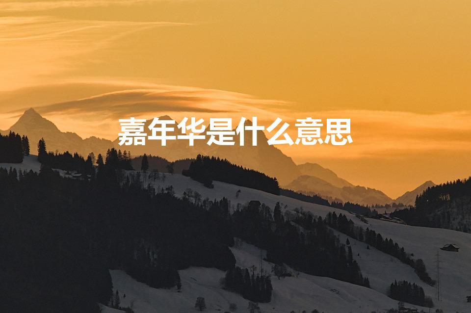 嘉年华是什么意思（“嘉年华”是什么意思）