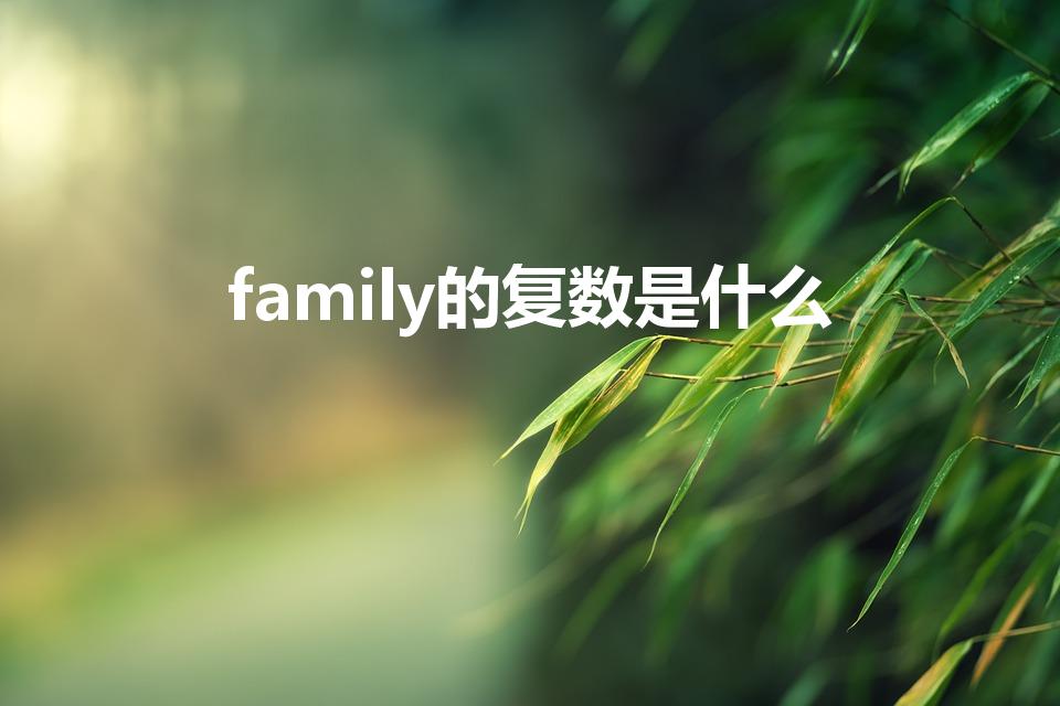 family的复数是什么（family的复数形式是什么）