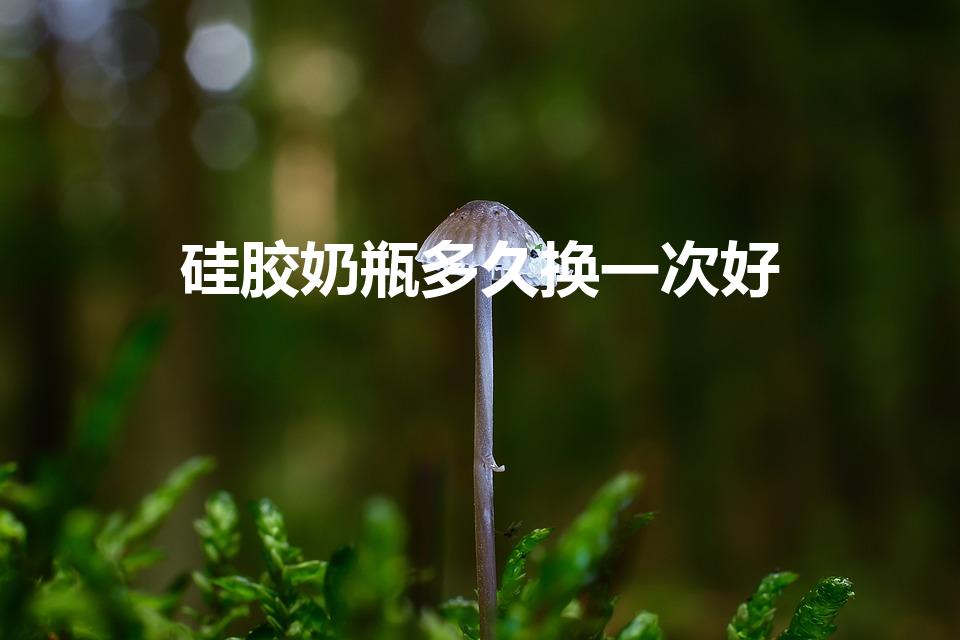 硅胶奶瓶多久换一次好（宝宝的奶瓶多久更换一次）