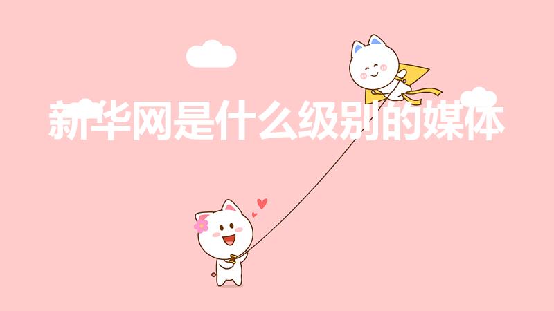 新华网是什么级别的媒体（新华社是什么级别）