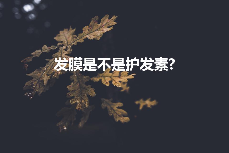 发膜是不是护发素?（发膜是不是护发素）