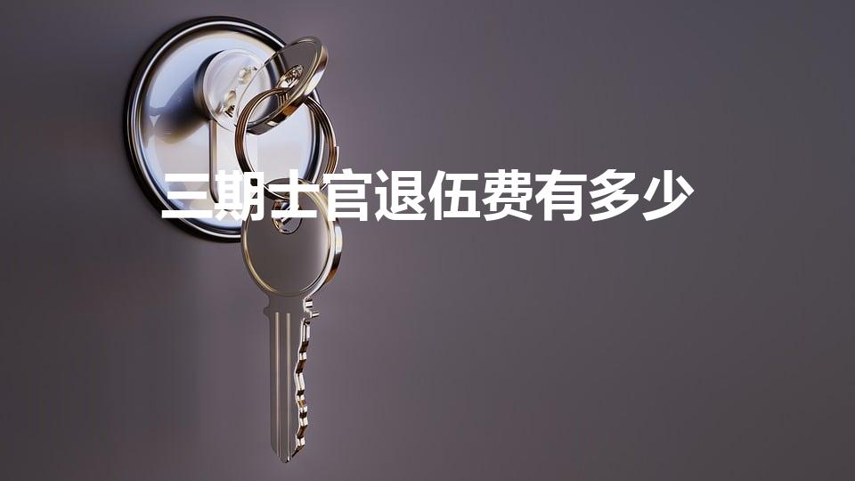 三期士官退伍费有多少（三期士官退伍费多少）